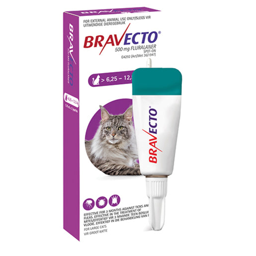 Bravecto Spot On Cat Large 1