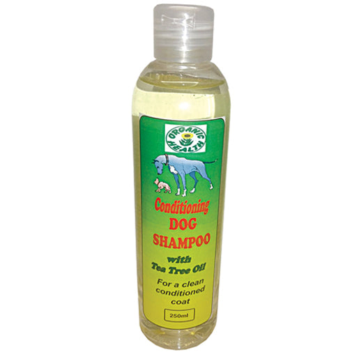 A White Tea Tree Shampoo 250ml
