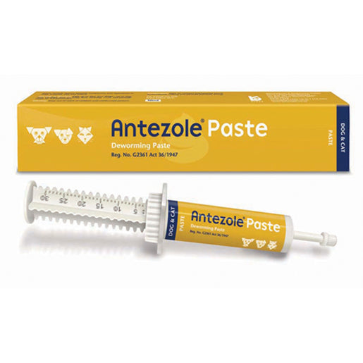 Antezole Paste 30ml