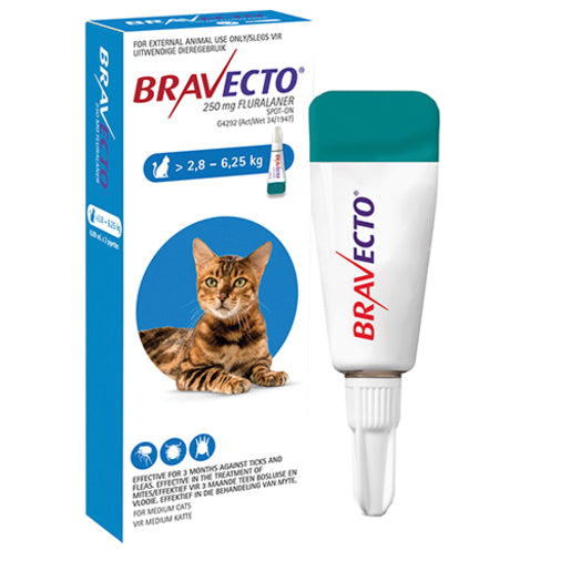Bravecto Spot On Cat Med 1
