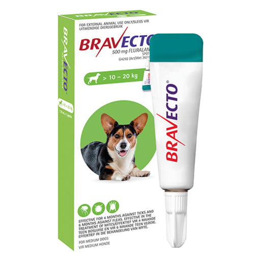 Bravecto Spot On Dog Medium 1