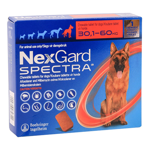 NEXGARD SPECTRA CHEW TABS XL DOG 1@