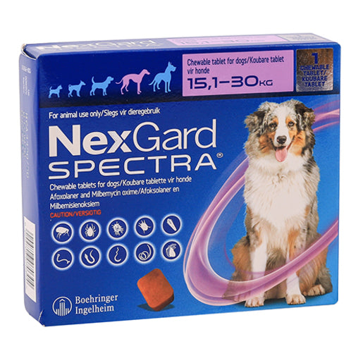 NEXGARD SPECTRA CHEW TABS LARGE DOG 1