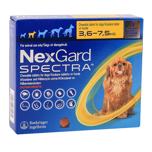 NEXGARD SPECTRA CHEW TAB V/SMALL DOG 1