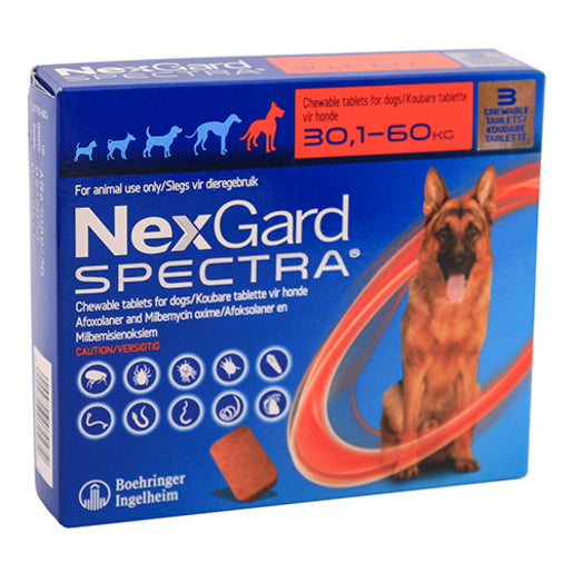 NEXGARD SPECTRA CHEW TABS XL DOG 1@